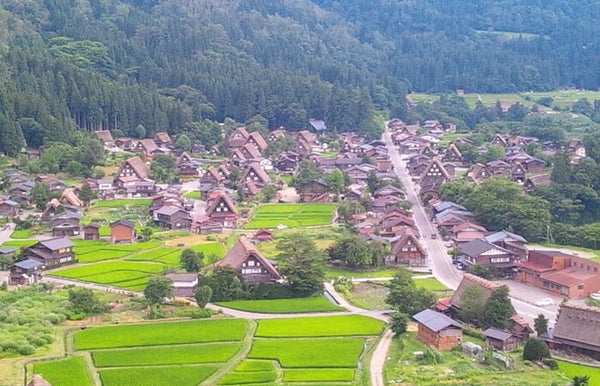 【名古屋発】飛騨さくら 桜×歴史×絶景 白川郷&奇跡の桜めぐり 春の絶景満喫ツアー2